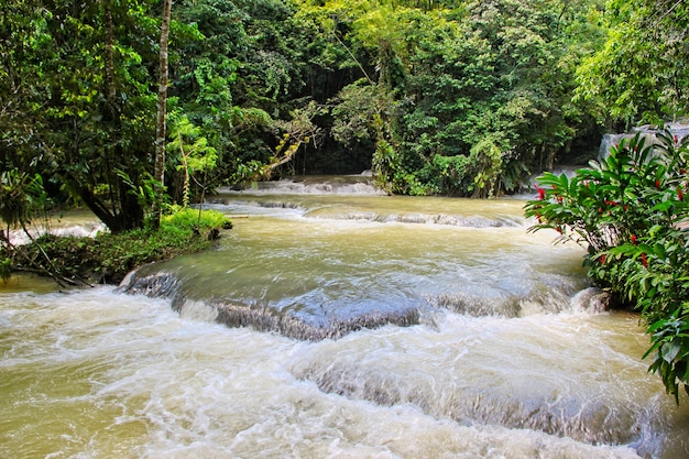 5 Compelling Reasons We’re Thrilled To Explore Costa Rica