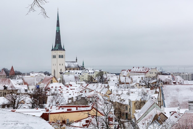 Exploring Estonia on a Shoestring Budget