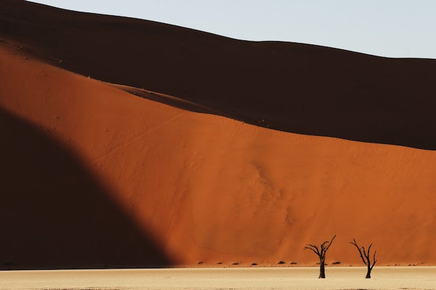 Goats Along the Silk Road: Mapping Our Journey