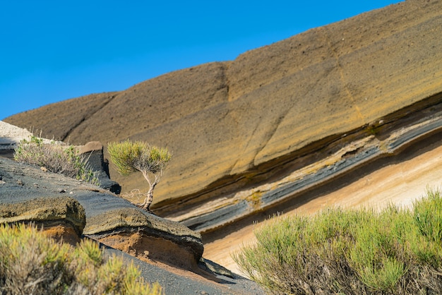 Journey from Salta to Cafayate: Your Ultimate Northwestern Argentina Road Trip Guide