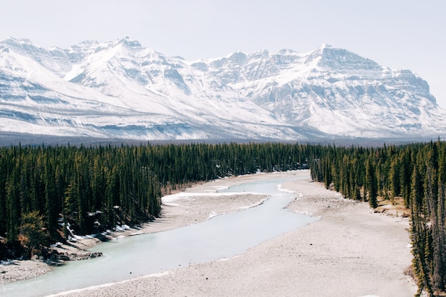 Journeying Along the Pamir Highway: A 10-Day Adventure