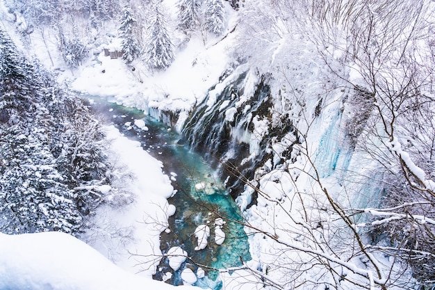 Top 12 Experiences to Enjoy in Aomori, Japan in 2023